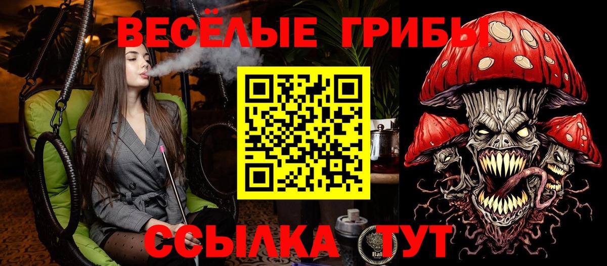 Осинники  Галлюциногенные грибы Psilocybe  Вход с VPN  Псилоцибиновые грибы мицелий 