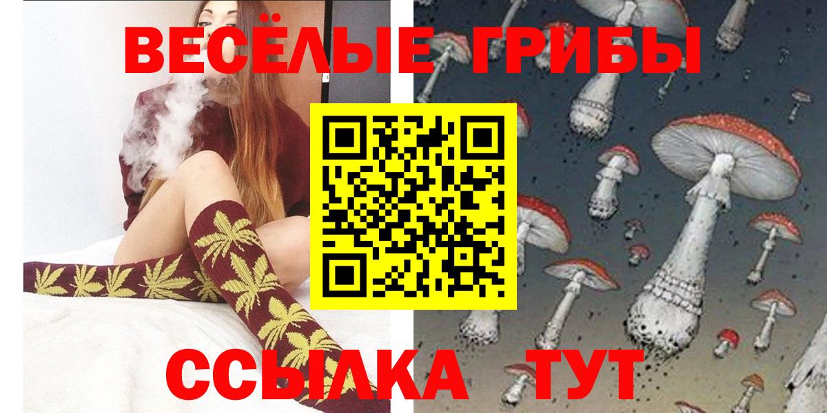Галлюциногенные грибы Cubensis Осинники